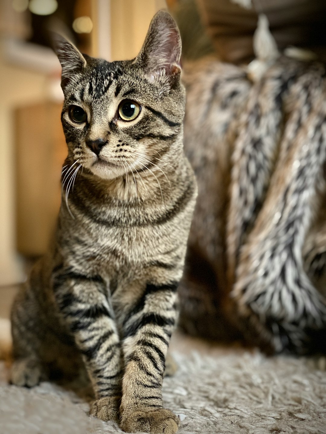 stainless steel litter box