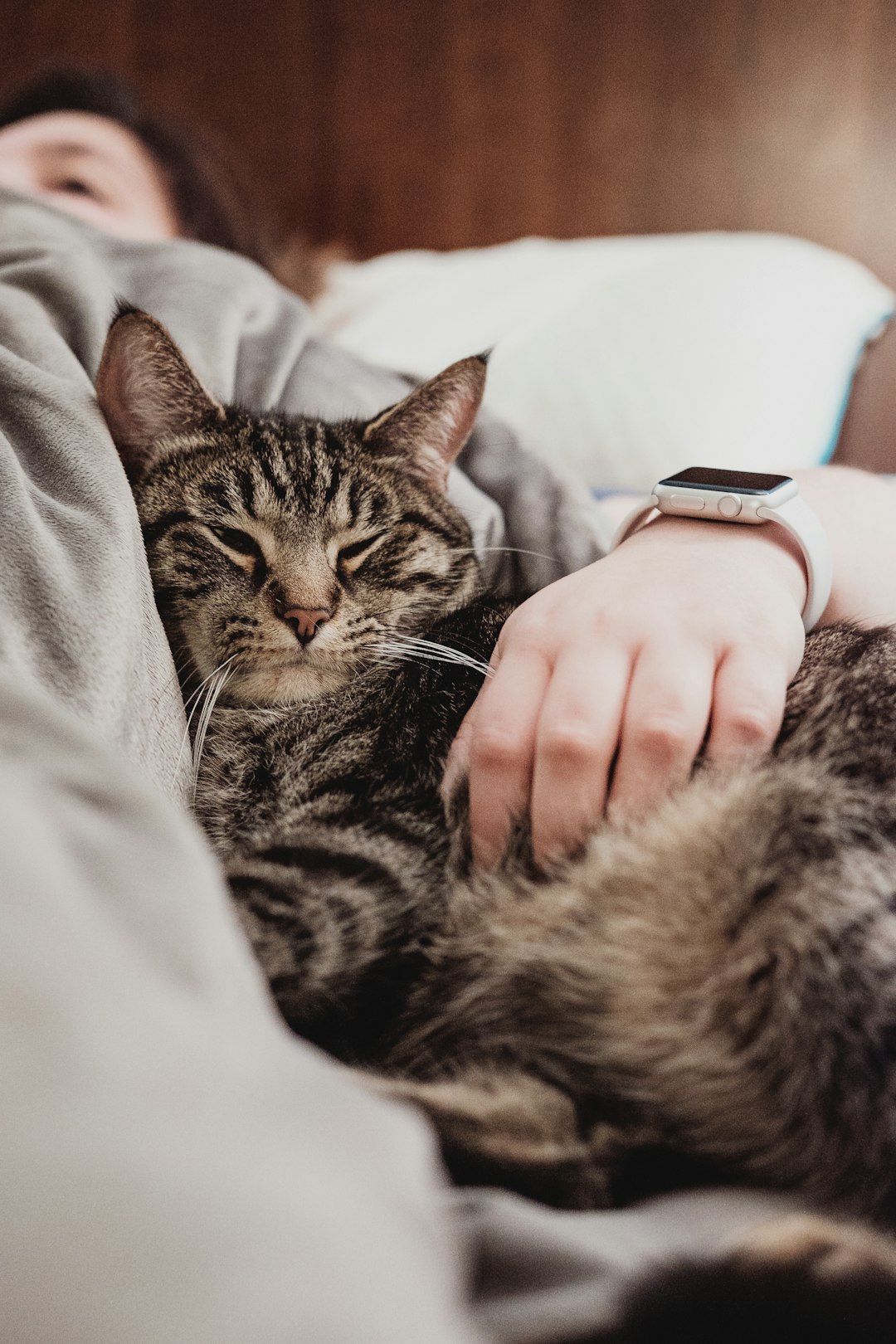 cat body language